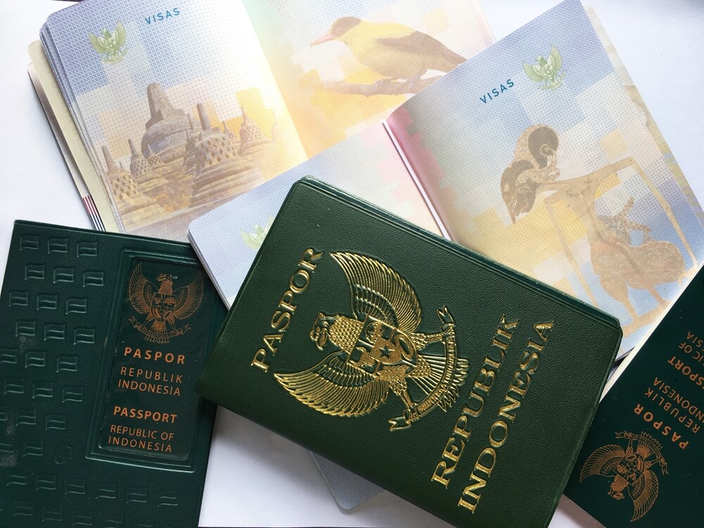 paspor online