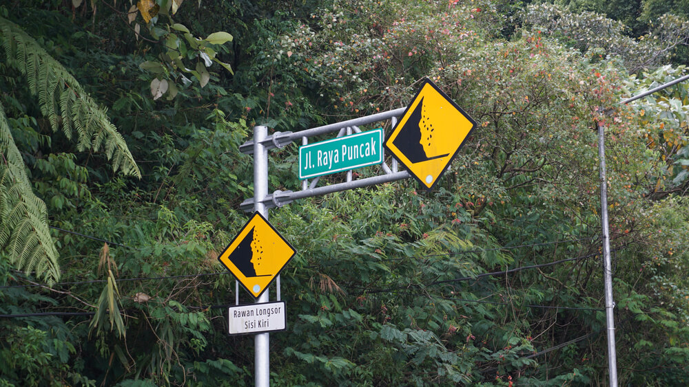 ganjil genap puncak