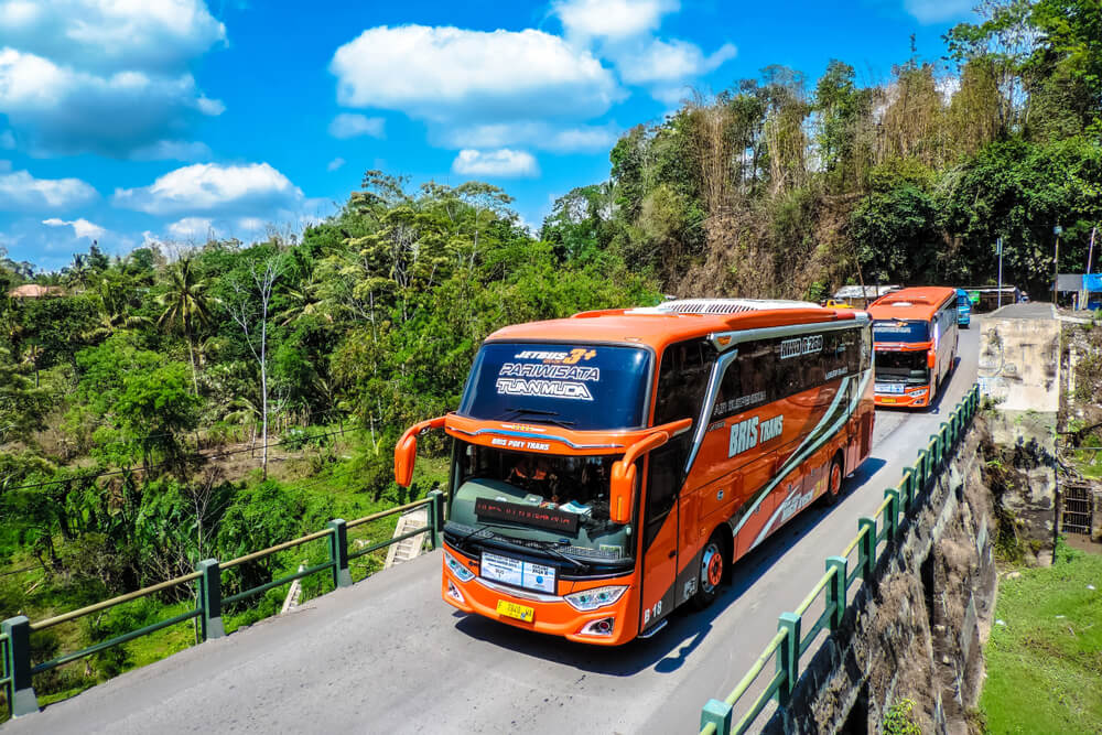 bus pariwisata