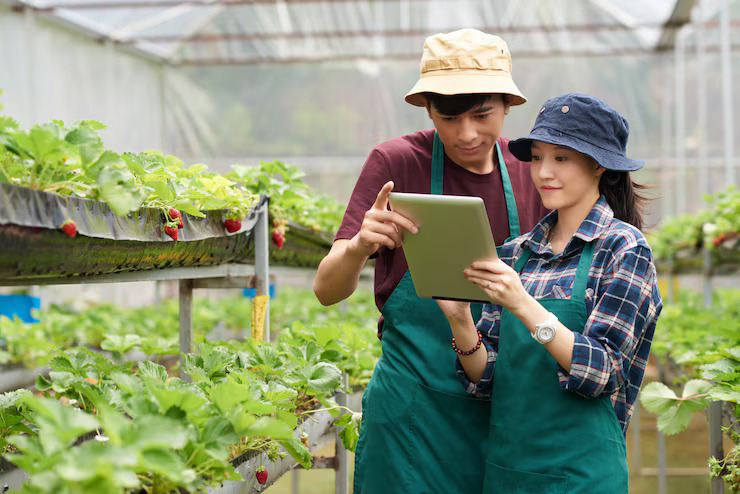 Cek Cara Ajukan Pinjaman Dana Terpercaya untuk Petani Modern yang Butuh Modal Teknologi Pertanian